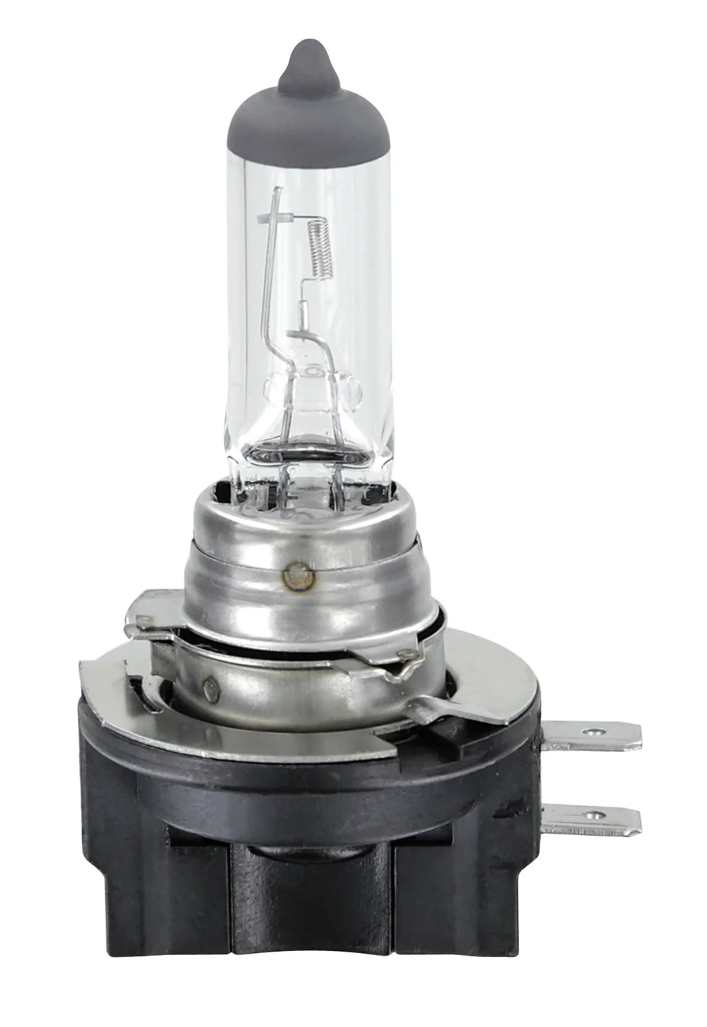 12V Lampada alogena - H11B - 55W - PGJY19-2 - 1 pz  - D/Blister