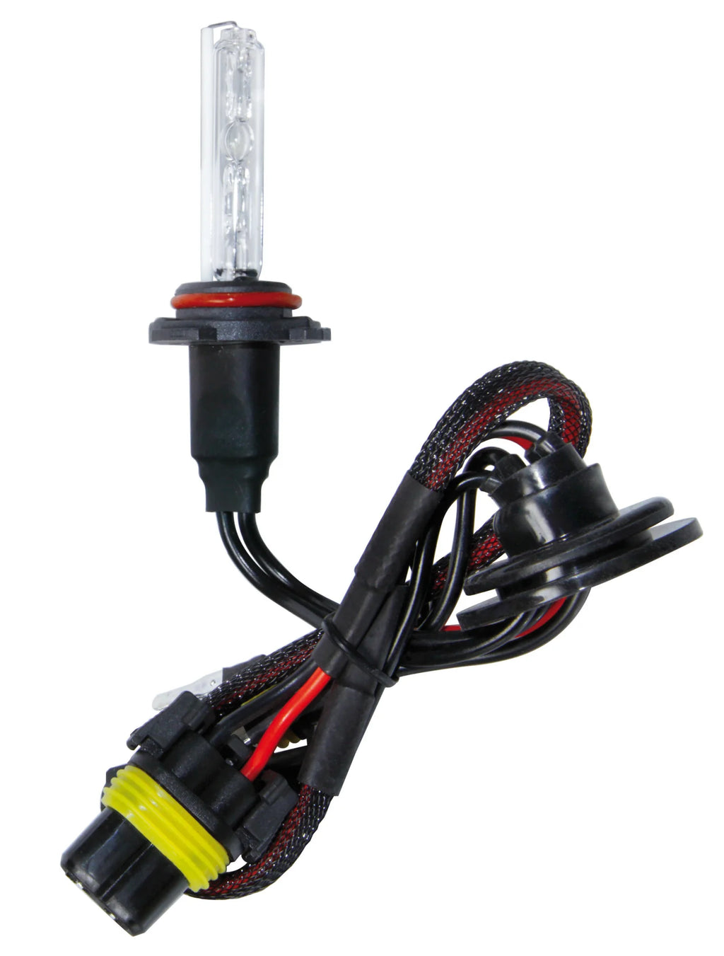 12/24V Lampadina HID Xenon 6.000K - H10 - 1 pz  - Scatola