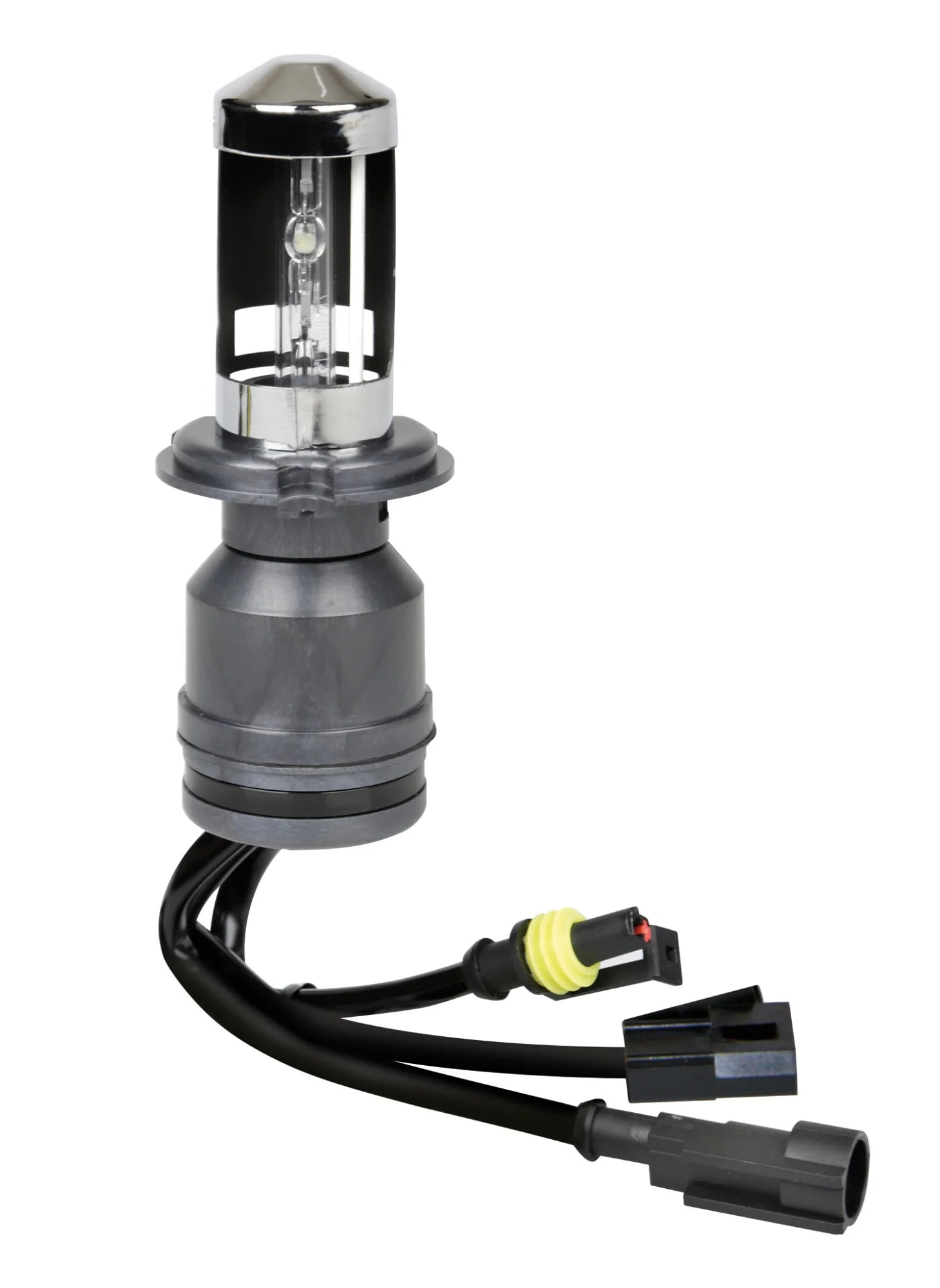 12/24V Lampadina HID Xenon 5.000K - H4 - 1 pz  - Scatola