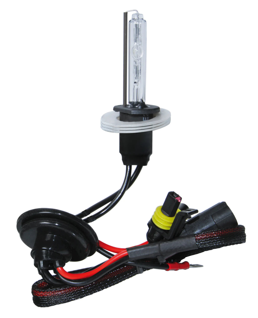 12/24V Lampadina HID Xenon 5.000K - H1 - 1 pz  - Scatola