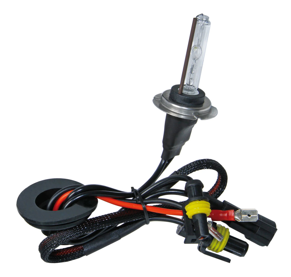 12/24V Lampadina HID Xenon 4.300K - H7 - 1 pz  - Scatola