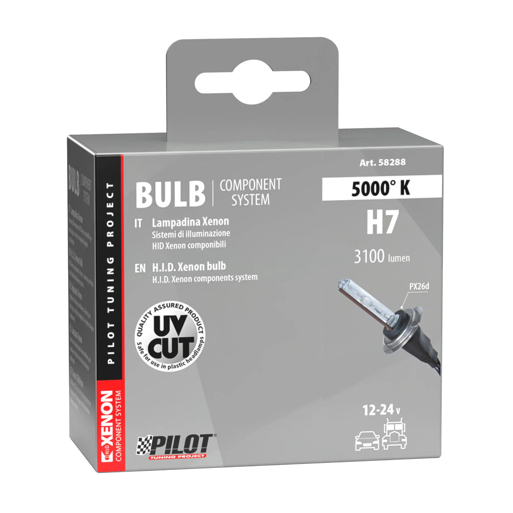 12/24V Lampadina HID Xenon 5.000K - H7 - 1 pz  - Scatola