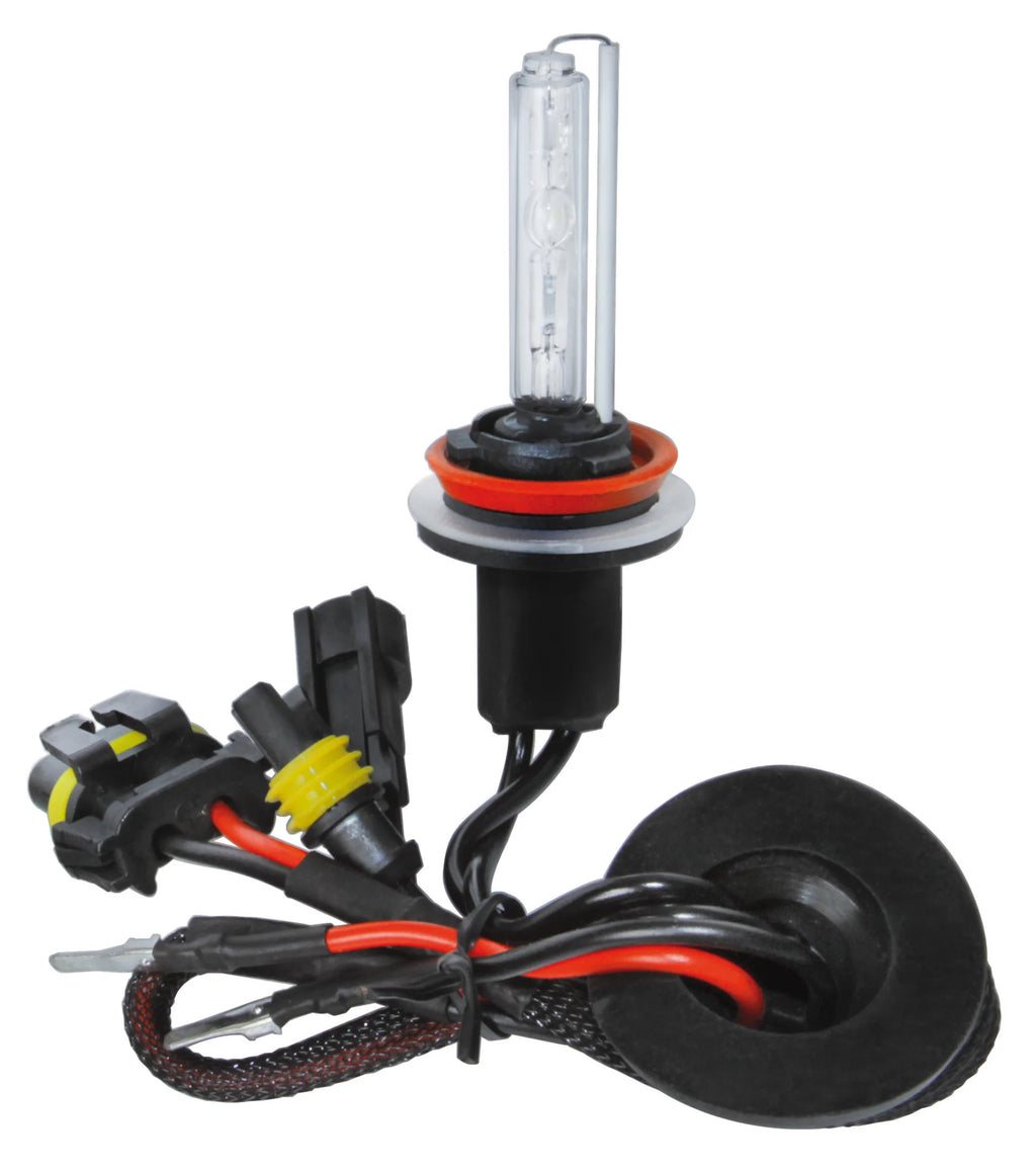 12/24V Lampadina HID Xenon 6.000K - H8 - 1 pz  - Scatola