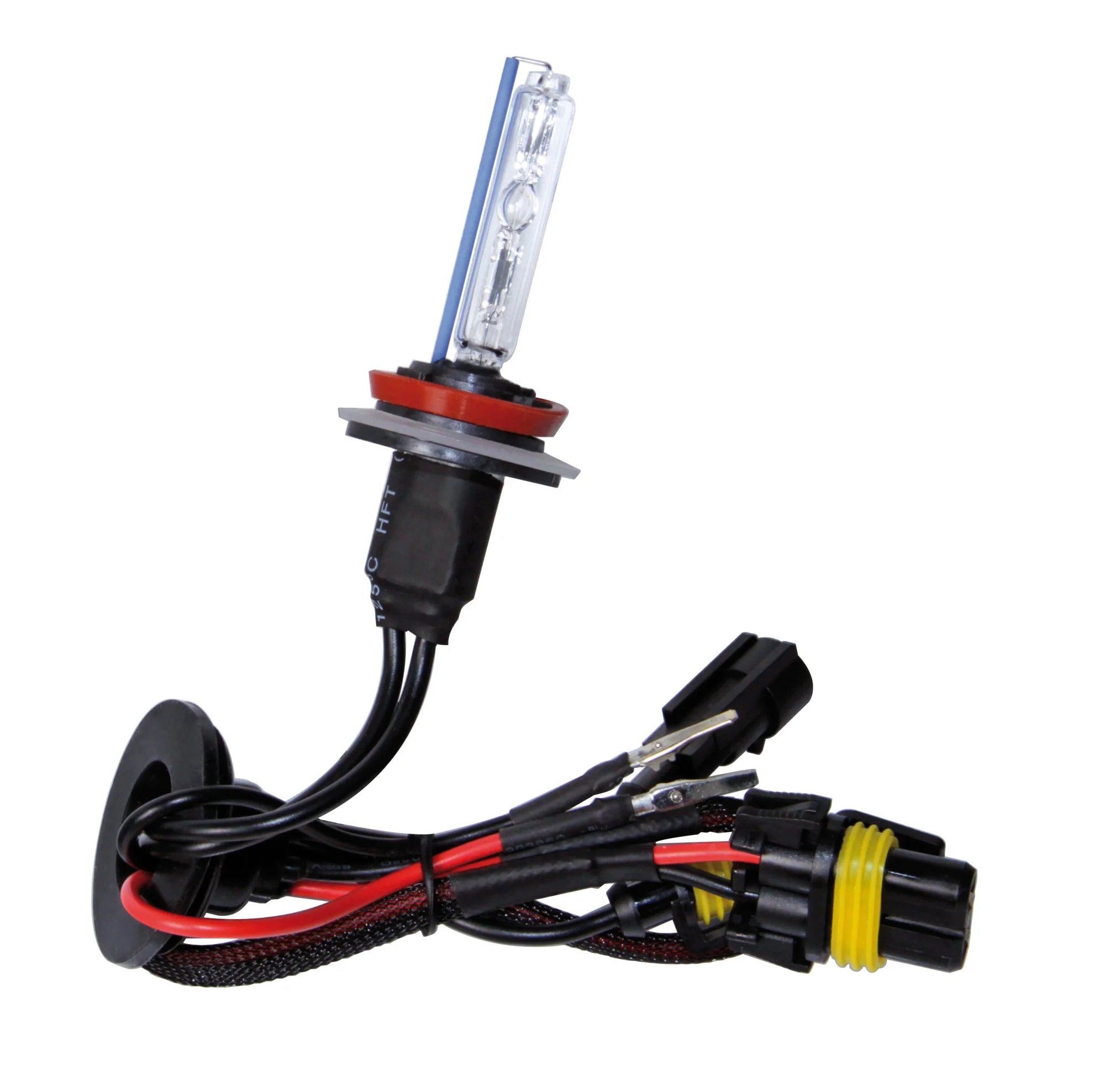 12/24V Lampadina HID Xenon 6.000K - H9 - 1 pz  - Scatola