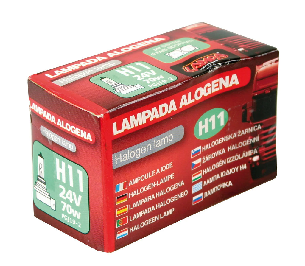 24V Lampada alogena - H11 - 70W - PGJ19-2 - 1 pz  - Scatola
