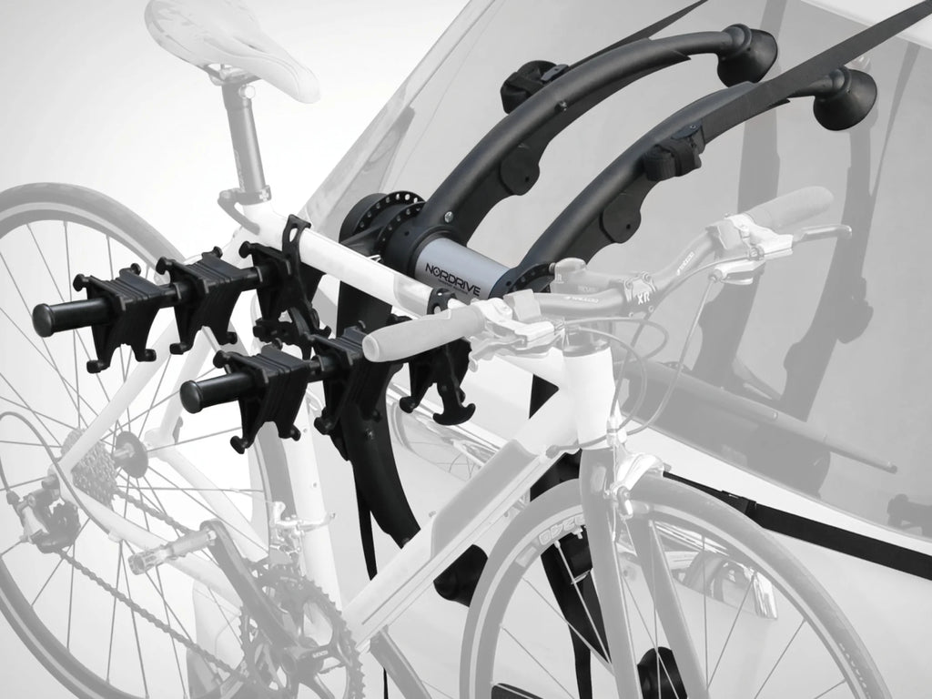 Cyclus 3, portabici posteriore