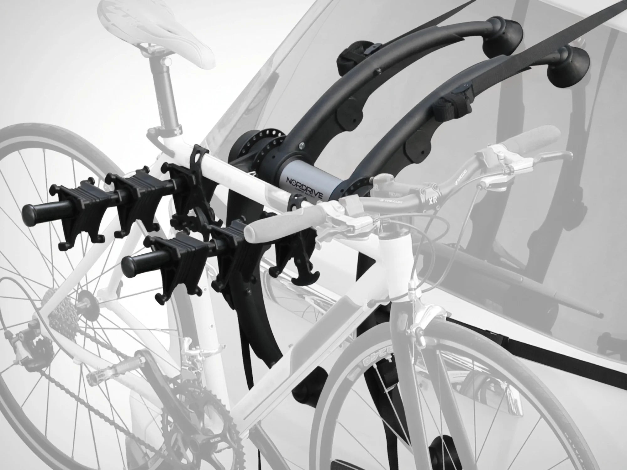 Cyclus 3, portabici posteriore