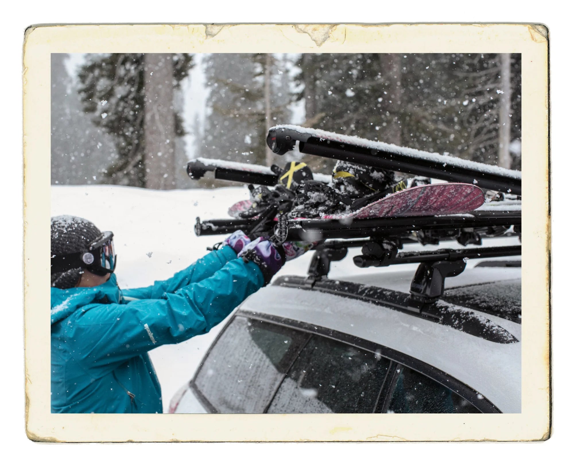 FatCat 6 Evo Black, portasci per barre da tetto